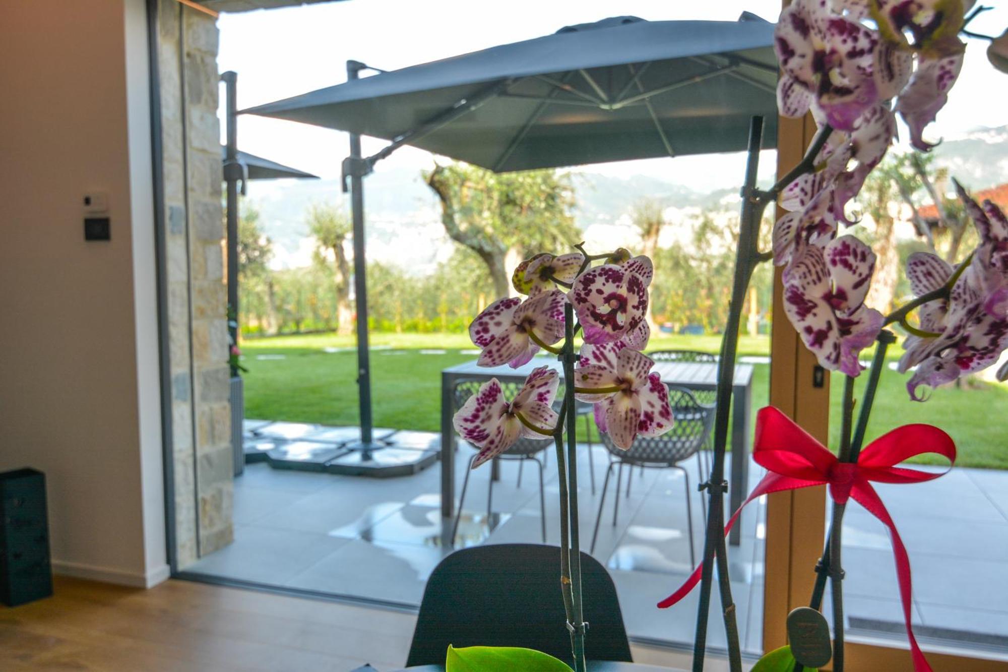 Olivo Luxury Apartments Malcesine Ngoại thất bức ảnh